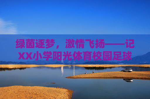 绿茵逐梦，激情飞扬——记XX小学阳光体育校园足球赛圆满落幕