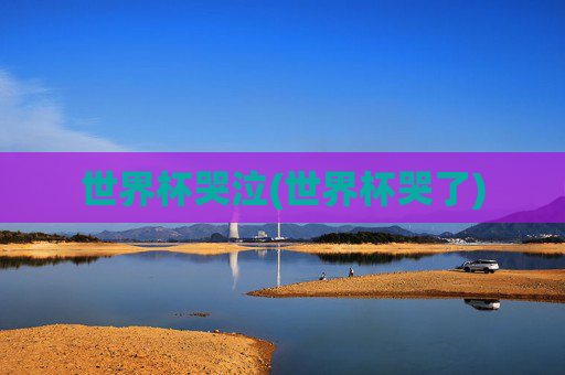 世界杯哭泣(世界杯哭了)