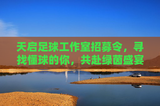 天启足球工作室招募令，寻找懂球的你，共赴绿茵盛宴！
