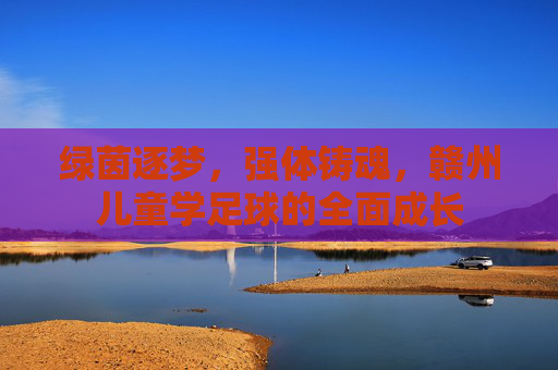 绿茵逐梦,强体铸魂,赣州儿童学足球的全面成长