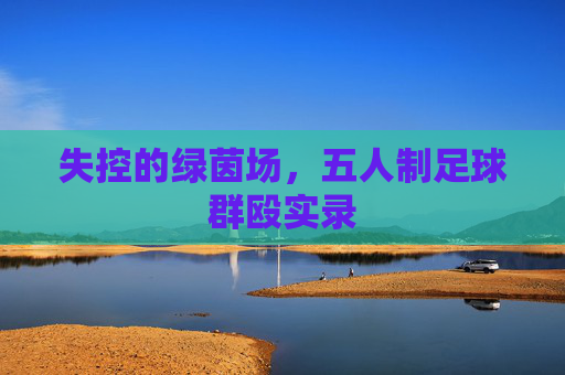 失控的绿茵场,五人制足球群殴实录