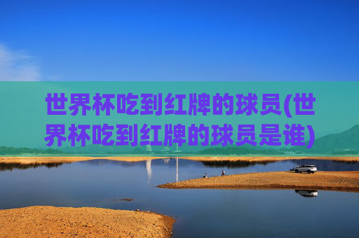 世界杯吃到红牌的球员(世界杯吃到红牌的球员是谁)