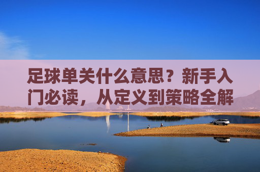 足球单关什么意思？新手入门必读，从定义到策略全解析