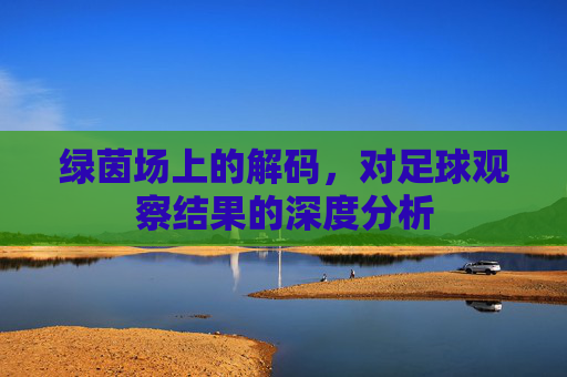 绿茵场上的解码,对足球观察结果的深度分析