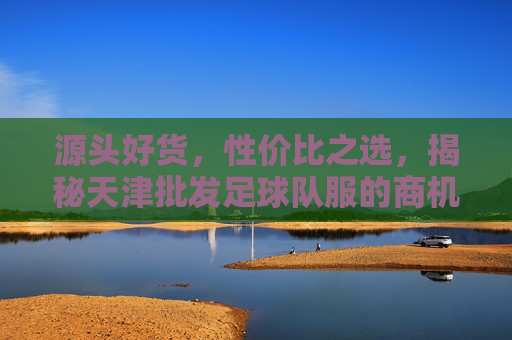 源头好货,性价比之选,揭秘天津批发足球队服的商机