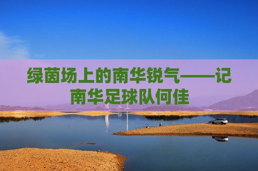 绿茵场上的南华锐气——记南华足球队何佳