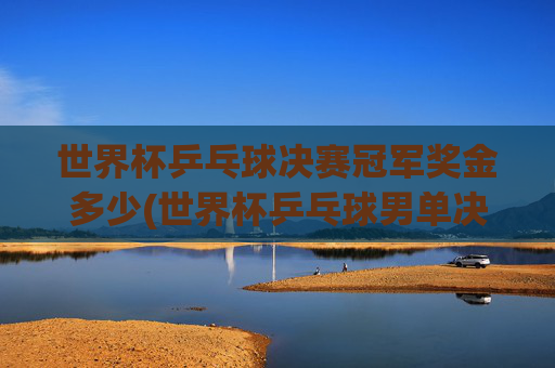 世界杯乒乓球决赛冠军奖金多少(世界杯乒乓球男单决赛)