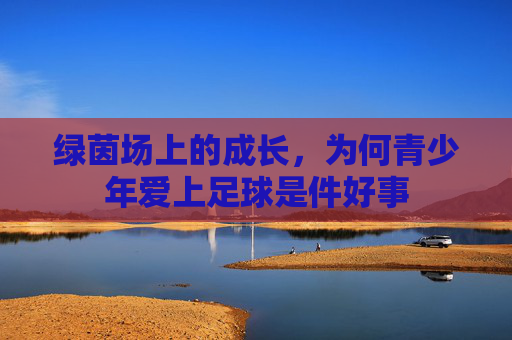 绿茵场上的成长,为何青少年爱上足球是件好事