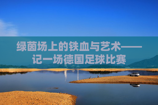 绿茵场上的铁血与艺术——记一场德国足球比赛
