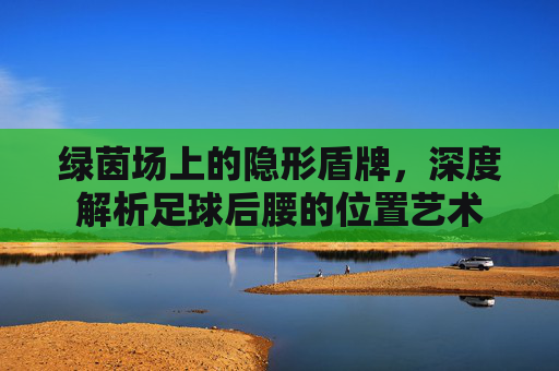 绿茵场上的隐形盾牌,深度解析足球后腰的位置艺术