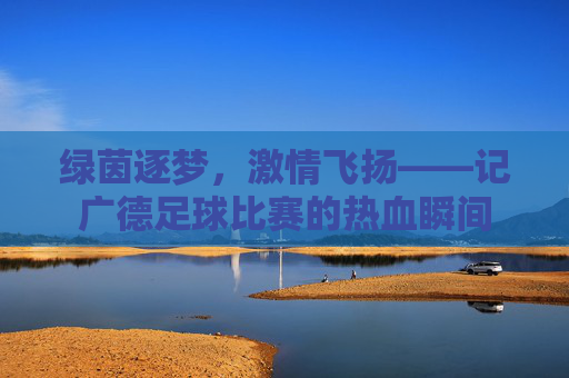 绿茵逐梦,激情飞扬——记广德足球比赛的热血瞬间