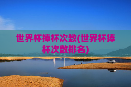 世界杯捧杯次数(世界杯捧杯次数排名)