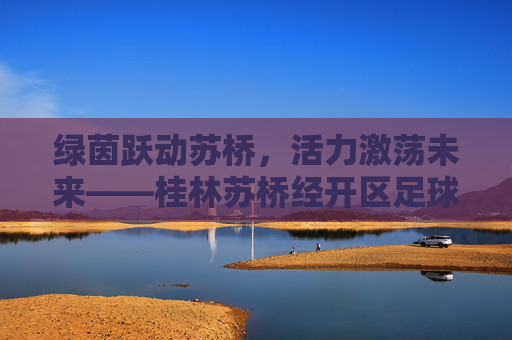 绿茵跃动苏桥,活力激荡未来——桂林苏桥经开区足球热潮侧记