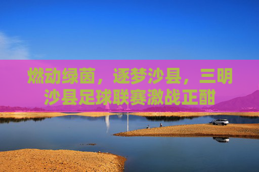 燃动绿茵,逐梦沙县,三明沙县足球联赛激战正酣