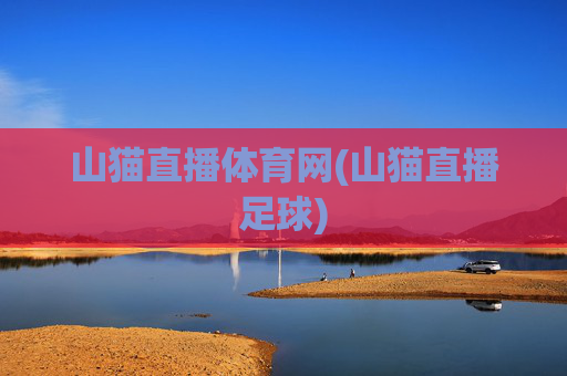 山猫直播体育网(山猫直播足球)