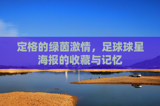 定格的绿茵激情，足球球星海报的收藏与记忆