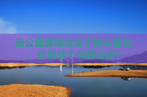当公园球场变成了格斗擂台,你管这个叫踢足球?