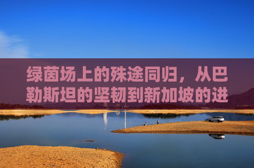 绿茵场上的殊途同归,从巴勒斯坦的坚韧到新加坡的进取