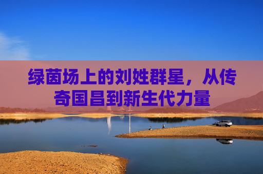 绿茵场上的刘姓群星,从传奇国昌到新生代力量