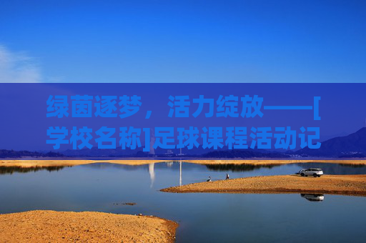 绿茵逐梦，活力绽放——[学校名称]足球课程活动记录