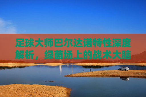足球大师巴尔达诺特性深度解析,绿茵场上的战术大脑与优雅指挥官