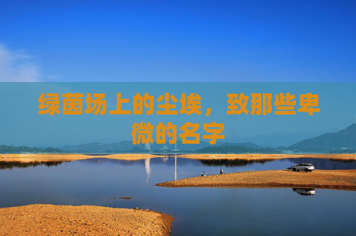 绿茵场上的尘埃，致那些卑微的名字