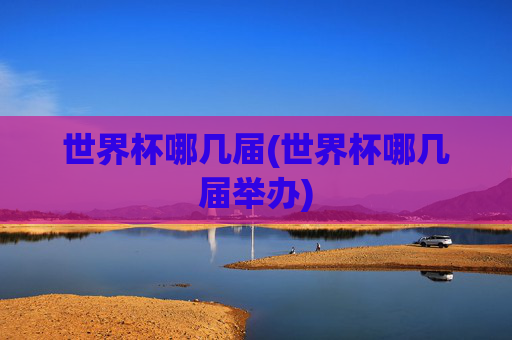世界杯哪几届(世界杯哪几届举办)
