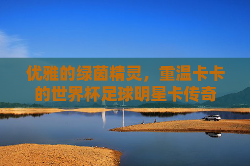 优雅的绿茵精灵,重温卡卡的世界杯足球明星卡传奇