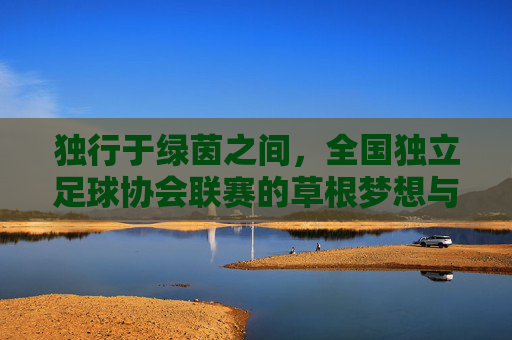 独行于绿茵之间,全国独立足球协会联赛的草根梦想与竞技图腾