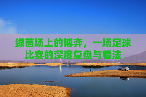 绿茵场上的博弈，一场足球比赛的深度复盘与看法