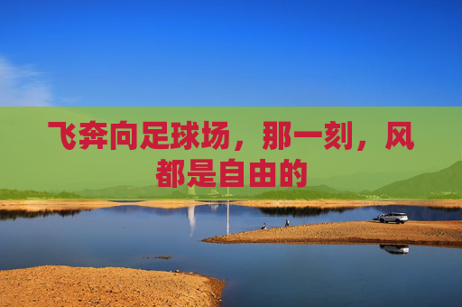 飞奔向足球场,那一刻,风都是自由的