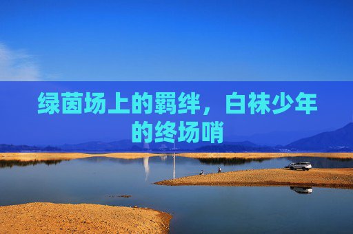 绿茵场上的羁绊,白袜少年的终场哨