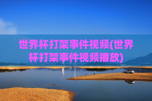 世界杯打架事件视频(世界杯打架事件视频播放)
