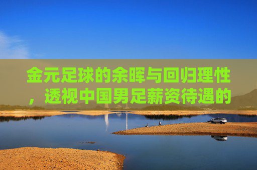 金元足球的余晖与回归理性,透视中国男足薪资待遇的畸形现状