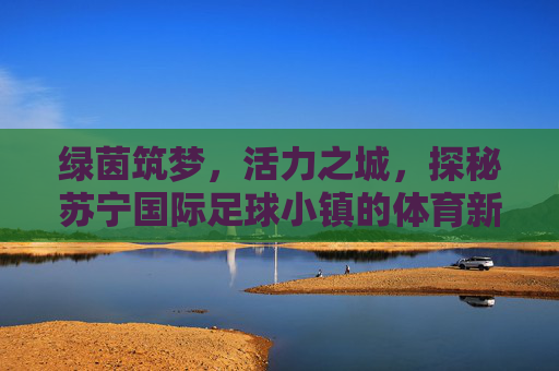 绿茵筑梦，活力之城，探秘苏宁国际足球小镇的体育新地标