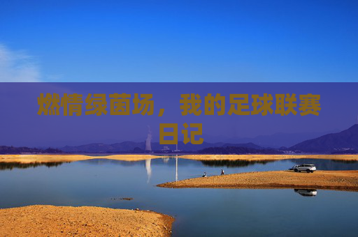 燃情绿茵场,我的足球联赛日记