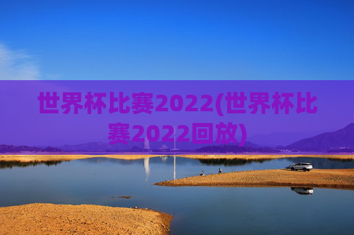 世界杯比赛2022(世界杯比赛2022回放)