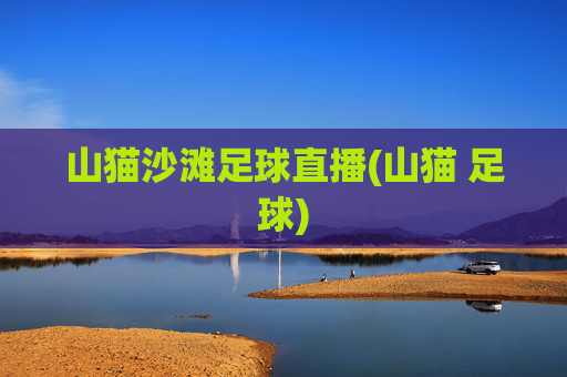 山猫沙滩足球直播(山猫 足球)