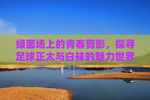 绿茵场上的青春剪影,探寻足球正太与白袜的魅力世界