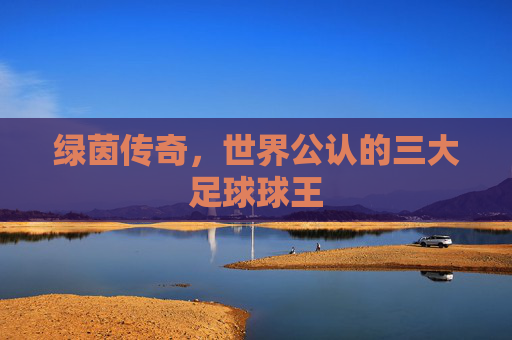 绿茵传奇,世界公认的三大足球球王