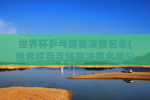 世界杯乒乓球赛决赛名单(世界杯乒乓球赛决赛名单公布)