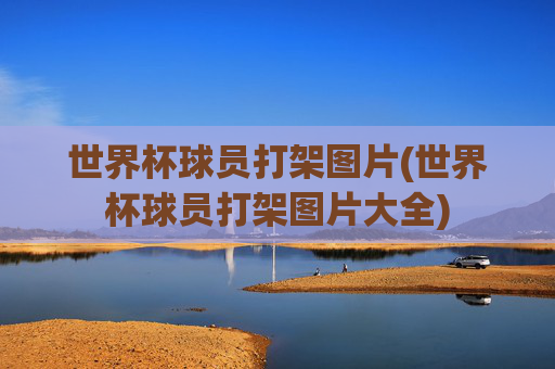 世界杯球员打架图片(世界杯球员打架图片大全)