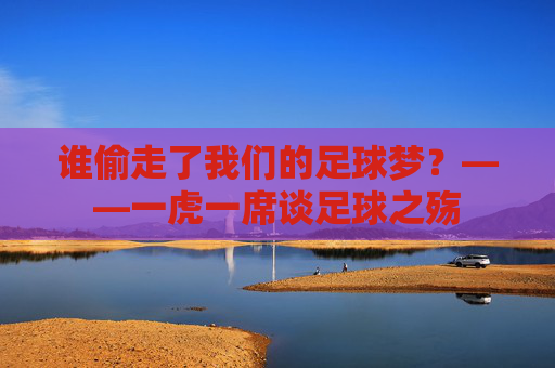 谁偷走了我们的足球梦？——一虎一席谈足球之殇