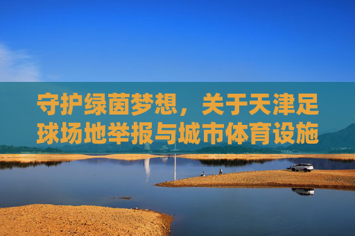 守护绿茵梦想,关于天津足球场地举报与城市体育设施完善的倡议