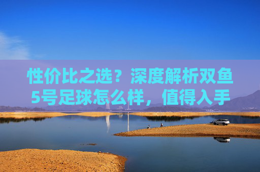 性价比之选?深度解析双鱼5号足球怎么样,值得入手吗?