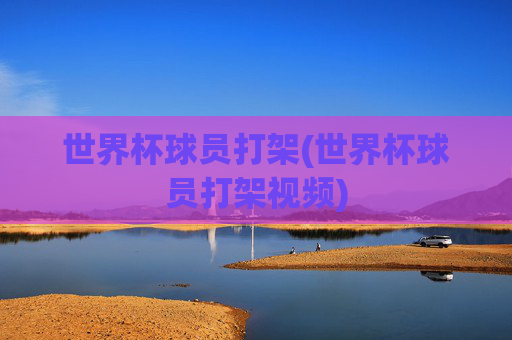 世界杯球员打架(世界杯球员打架视频)