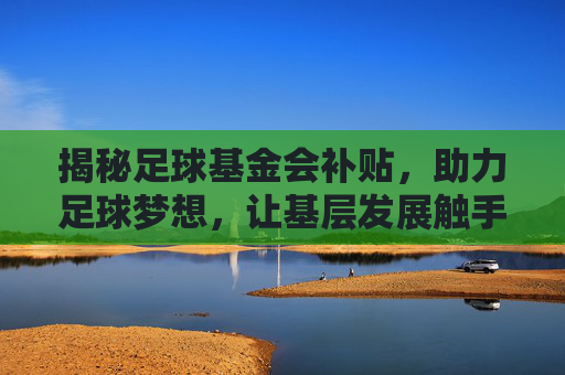 揭秘足球基金会补贴,助力足球梦想,让基层发展触手可及