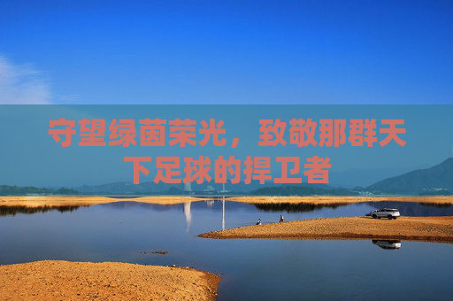 守望绿茵荣光,致敬那群天下足球的捍卫者