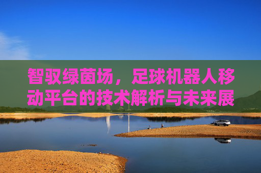智驭绿茵场,足球机器人移动平台的技术解析与未来展望