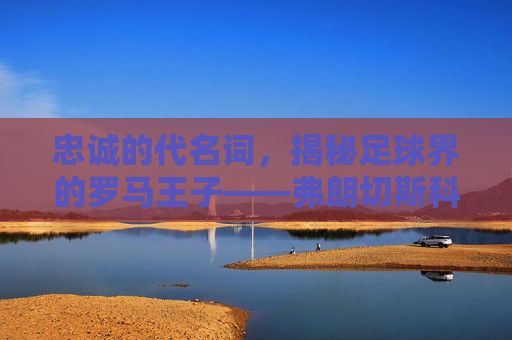 忠诚的代名词，揭秘足球界的罗马王子——弗朗切斯科·托蒂